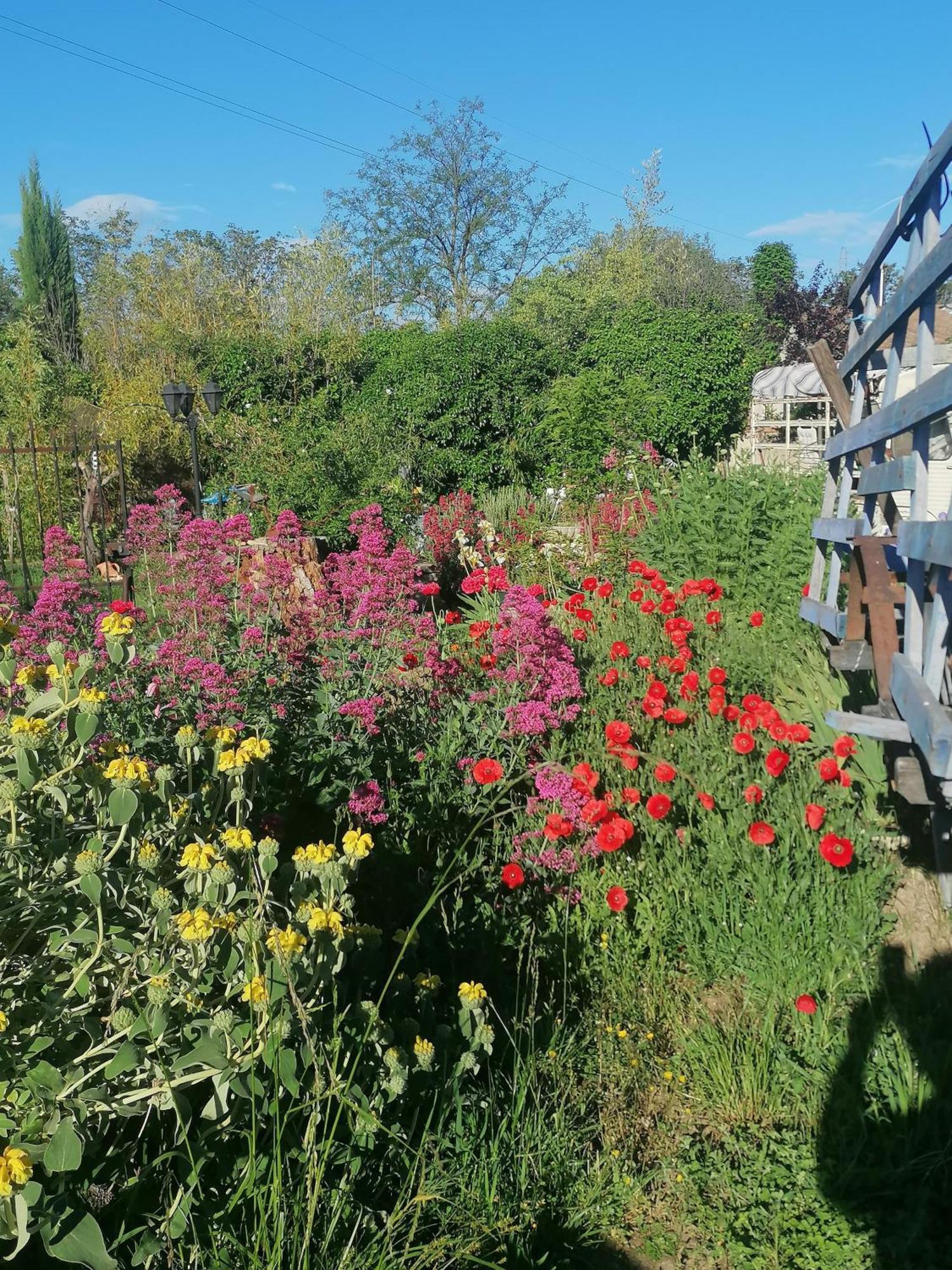 La Fee Viviane Et Michel L'Enchanteur Robion en Luberon エクステリア 写真