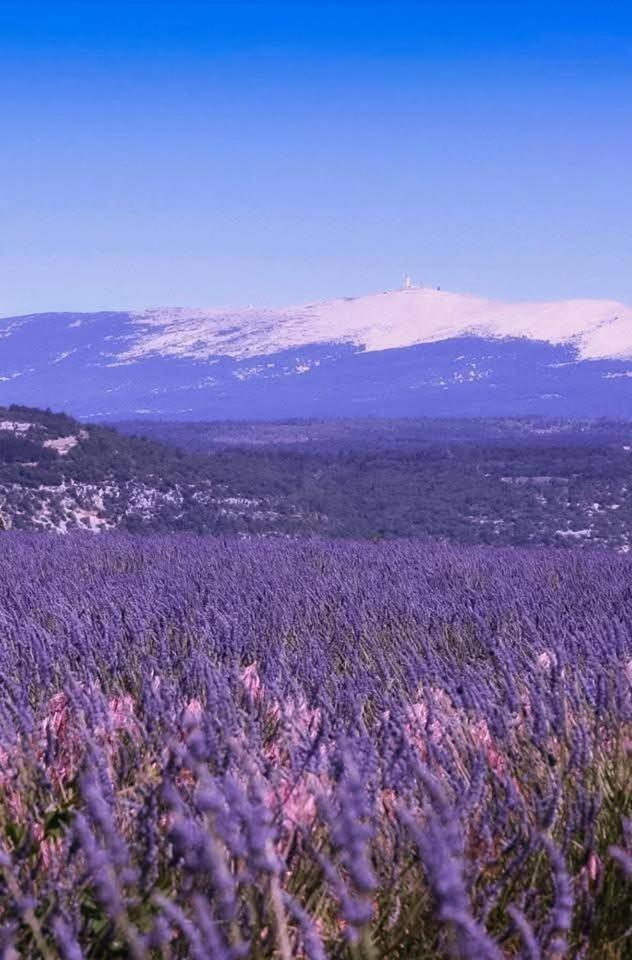 La Fee Viviane Et Michel L'Enchanteur Robion en Luberon エクステリア 写真